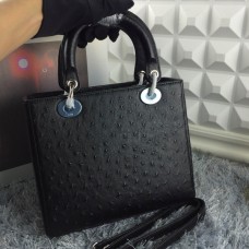 Реплика Dior Lady Default Totes от агнешка кожа Цена